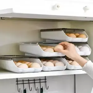 ORGANIZADOR DE HUEVOS