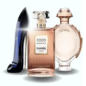 set x3, olympea, good girl, coco
