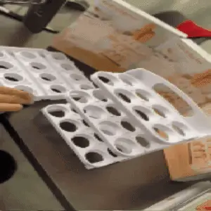 ORGANIZADOR DE HUEVOS
