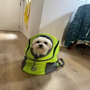 Morral de Lujo para tu Mascota: ¡Viajes Cómodos y Seguros! - Morral Para Transporte De Mascotas
