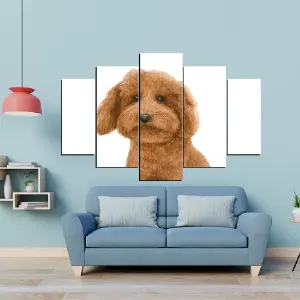 PERRO 69