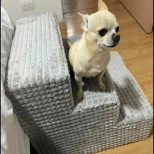 Escalera para mascotas