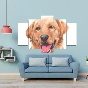 PERRO 56
