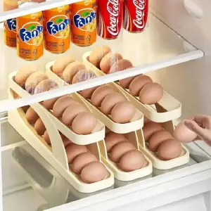 ORGANIZADOR DE HUEVOS