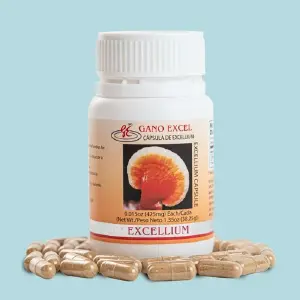 Paquete de capsulas Ganoderma