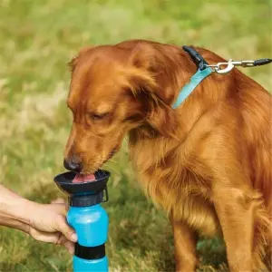 Termo Bebedero Agua Portátil Aqua Dog