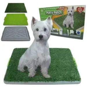 TAPETE PARA PERRO 17X27