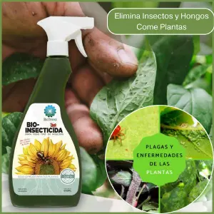 Bio Insecticida Para Plantas: Protección Natural para tus Cultivos - Bio Insecticida Para Plantas