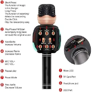 MICROFONO WSTER WS-2911