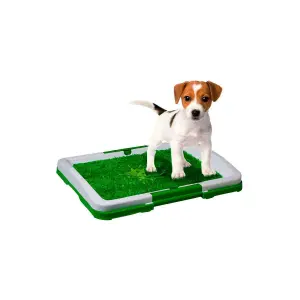 Tapete Entrenador Mascotas Lavable Baño