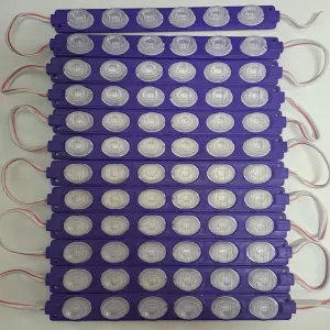 10 MODULOS 6 PEPAS 24V