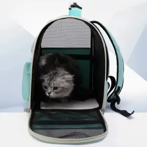 Morral para gatos