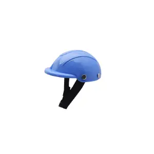 CASCO PARA MASCOTAS