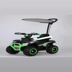 Cuatrimoto Electrica