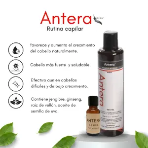 Kit 2 Tónicos Antera + Shampoo