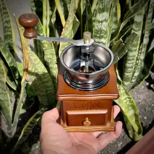 Molino de Café 6381-2
