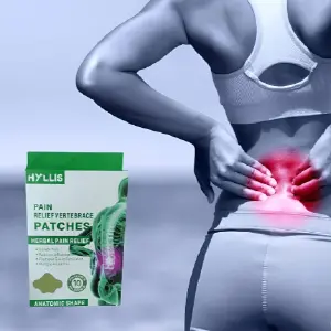 parches para dolor muscular  2 CAJAS