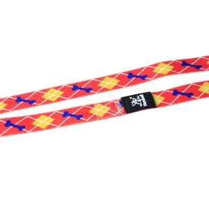 Set de correa con collar