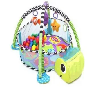 Gimnasio De Pelotas Tortuga - 668-31