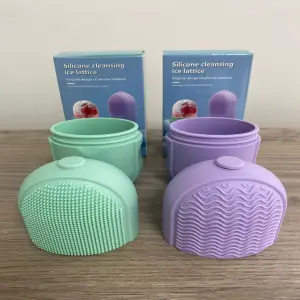 Molde Silicona Hielo Facial