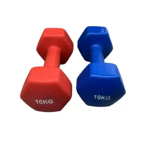 Mancuerna Hexagonal Antideslizante 10 KG