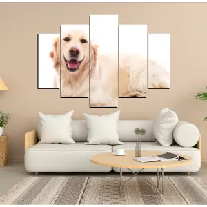 PERRO 57