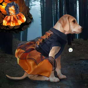 Disfraz Bruja Para Perro Gato GD01BRUJN