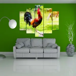 ANIMALES DE LA FINCA 20