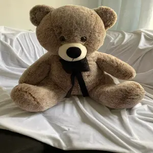 Osos de peluche