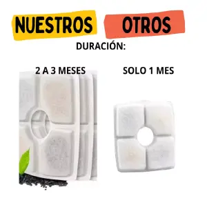Filtros fuente de gatos cuadrada x 8