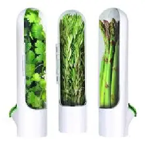 CAJA PARA MANTENER VERDURAS FRESCAS: ¡Frescura que dura! - CAJA PARA MANTENER VERDURAS FRESCAS