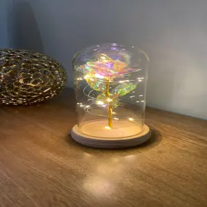 Lampara de rosa urna de vidrio