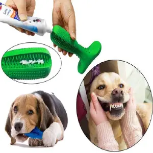 Cepillo De Dientes Antisarro Para Perro