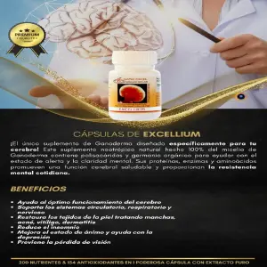 Excellium
