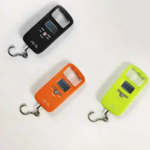 Mini Bascula Electrónica Portátil