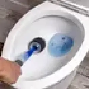 Cepillo para inodoro