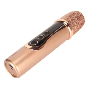 Microfono Inalambrico V-17