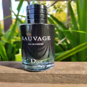 Sauvage Replica 1.1