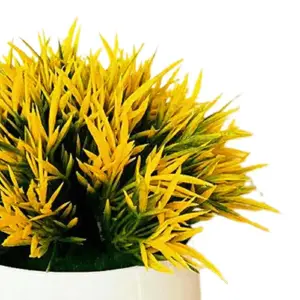 Plantas Decorativas, Matero Pequeño x3un