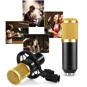 Kit Micrófono  Profesional Condensador