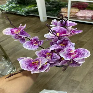 Planta artificial tipo Orquídea real