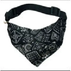 Collar Pañoleta Broches Plasticos