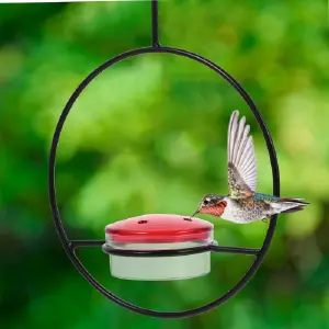 COMEDERO DE AGUA PARA COLIBRÍES