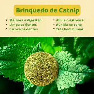 Juguete interactivo de aguacate