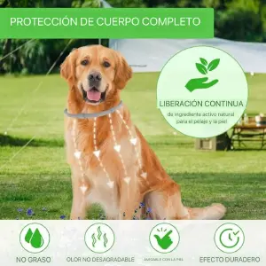 COLLAR MASCOTAS ANTIPULGAS: Protección Completa para tu Amigo Peludo - COLLAR MASCOTAS ANTIPULGAS