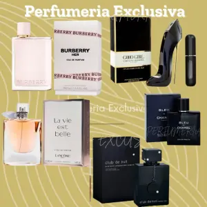 Kit 5 perfumes + perfumero