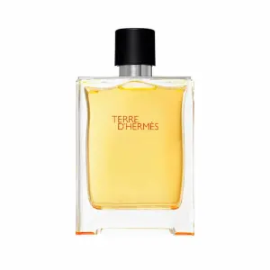 THERRE DE HERMES