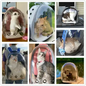 Maleta Portamascotas: La Cápsula Espacial para tu Amigo Peludo - Maleta Para Mascotas Perro O Gato Morral