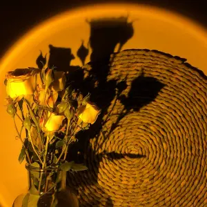 Lámpara Luz Led Proyectora Atardecer Dec
