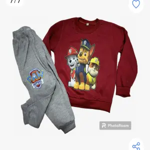 Sudadera Paw Patrol Niño Deportivo